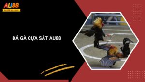 Đá Gà Cựa Sắt Au88: Cơ Hội Kiếm Tiền Lớn Cho Các Tay Chơi